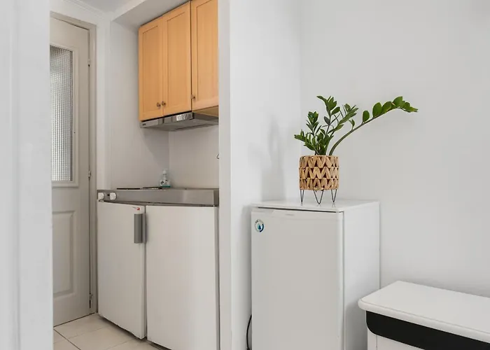 Alexandros B Nikiana